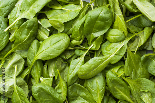 Background of fresh spinach leaves. Green grass texture