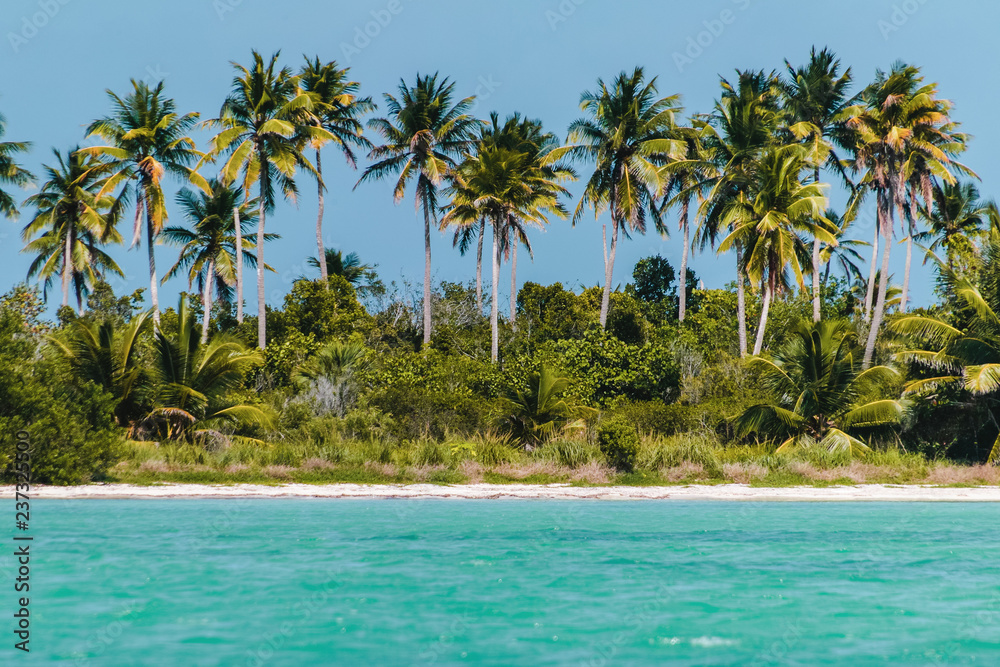 Saona Island near Punta Cana, Dominican Republic
