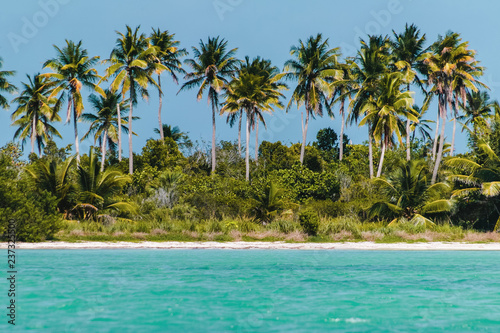 Saona Island near Punta Cana  Dominican Republic