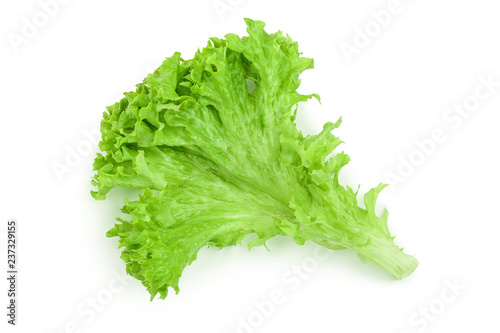 Lettuce leaf isolated on white background close up