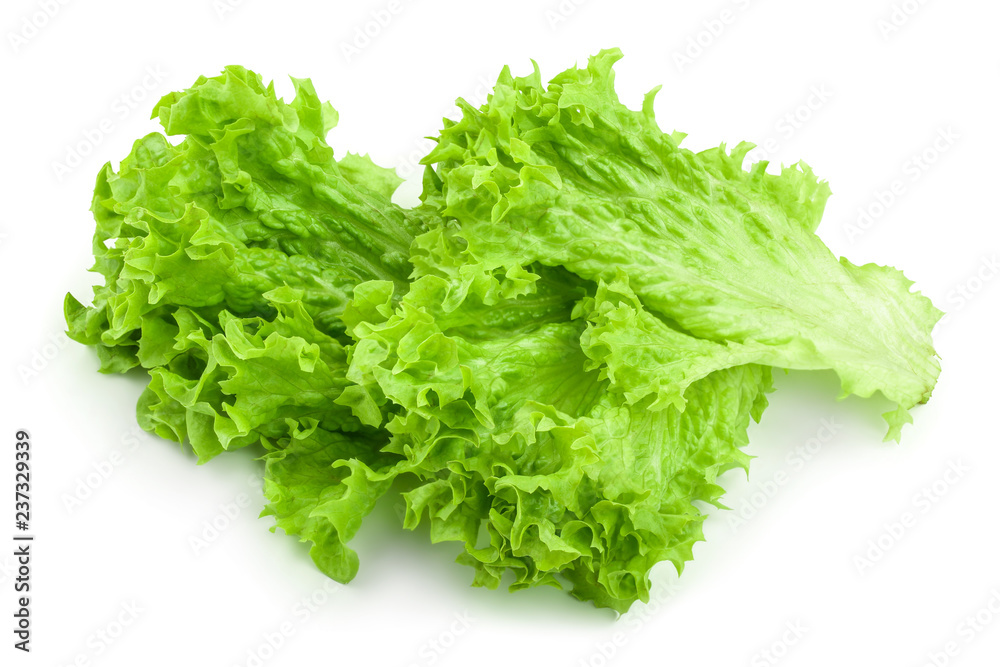 Lettuce leaf isolated on white background close up Lettuce leaf isolated on white background close up