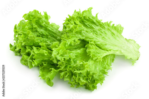 Lettuce leaf isolated on white background close up