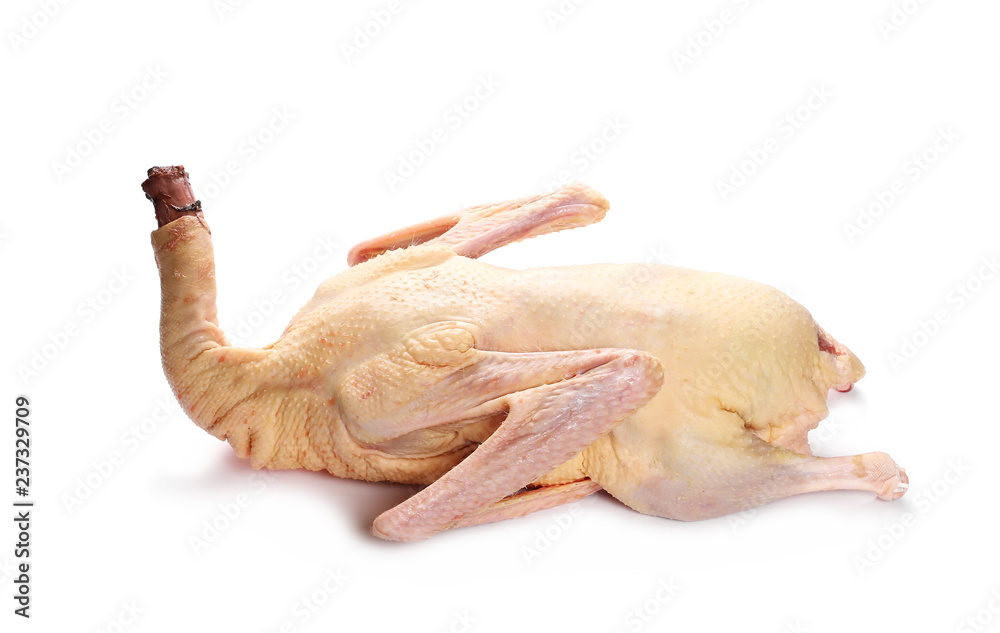 Fresh young raw goose isolated on white background Fresh young raw goose isolated on white background