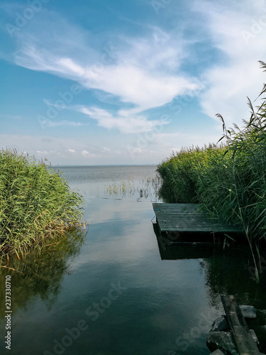 Obraz na płótnie lake in forest w salonie