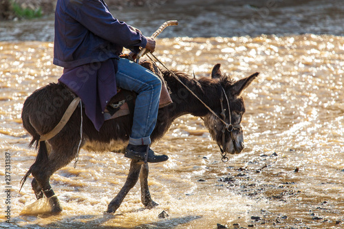 The man on the donkey crossing the river