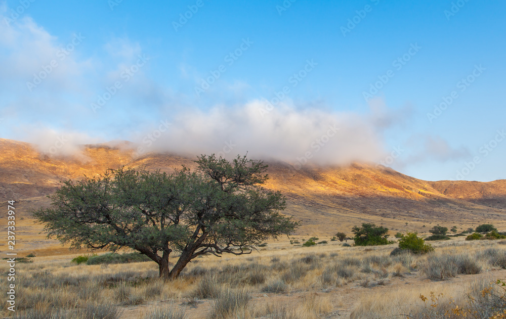 Damaraland, Namibia, a vast semi desert arid region in Namibia.
