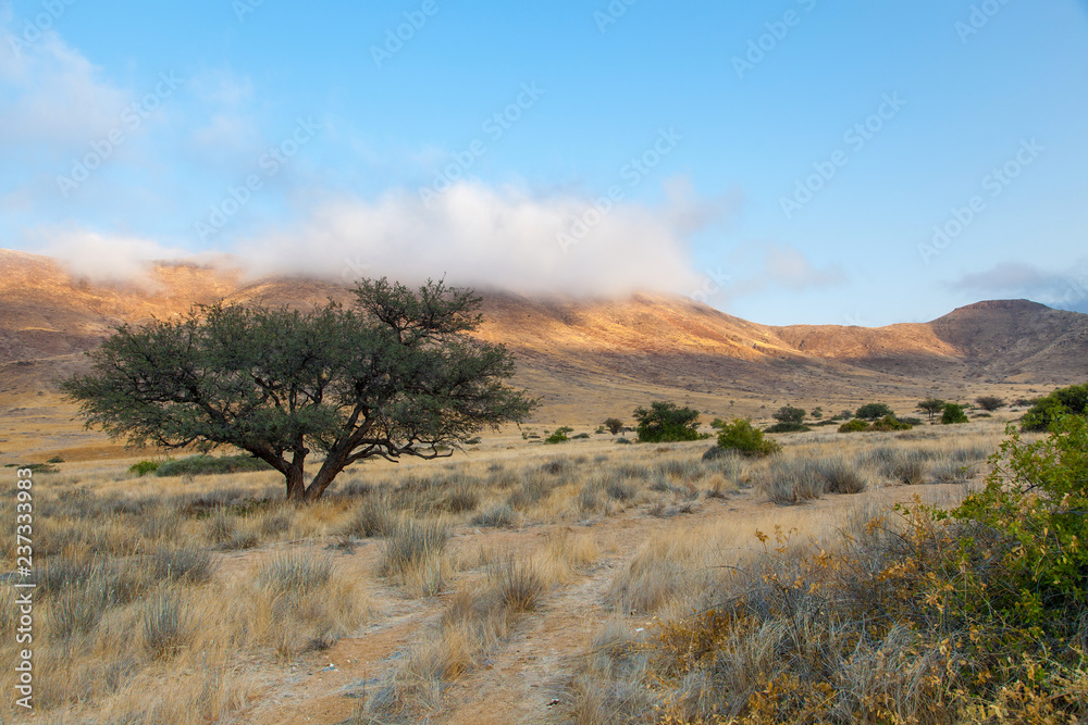 Damaraland, Namibia, a vast semi desert arid region in Namibia. Damaraland, Namibia, a vast semi desert arid region in Namibia.