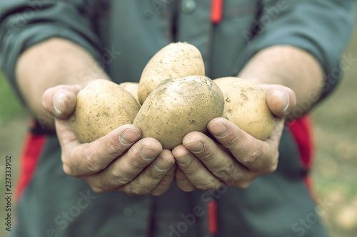 toned photo of a man with outstretched arms in which there is a white potato