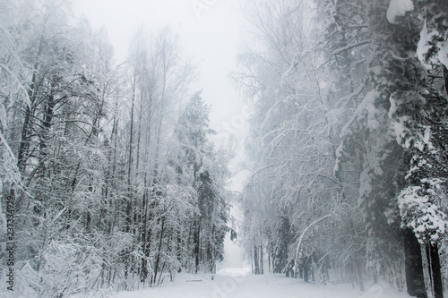 Beautiful winter landscape with snowy road in the winter forest with snow-covered trees. Snowfall in the forest on a cold winter day. Nature, landscape concept.