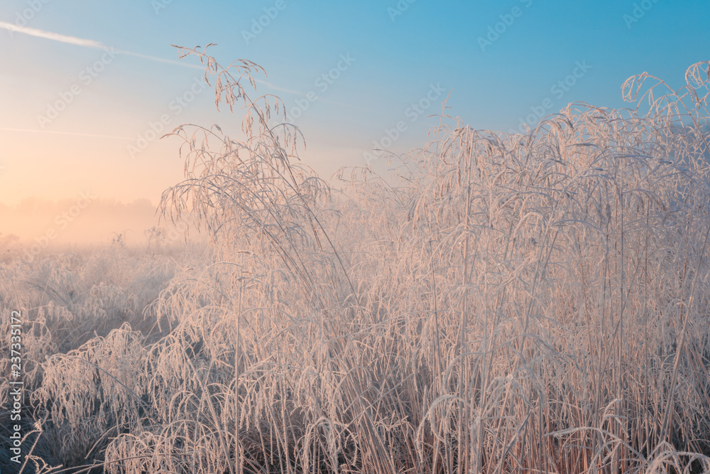 Beautiful autumn sunrise landscape with hoarfrost on the grass. Beautiful autumn sunrise landscape with hoarfrost on the grass.