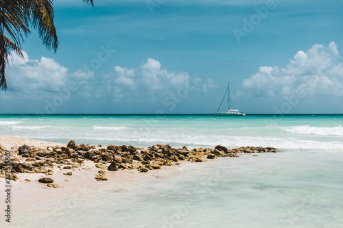 Saona Island near Punta Cana, Dominican Republic