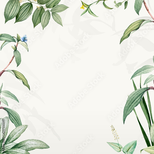 Green botanical leaves background design