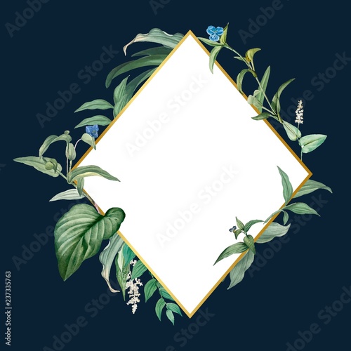 Empty frame with green leaves design vector