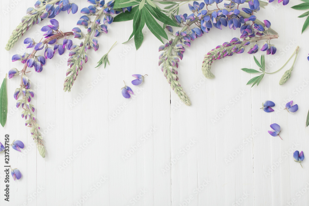 lupine on white wooden background lupine on white wooden background