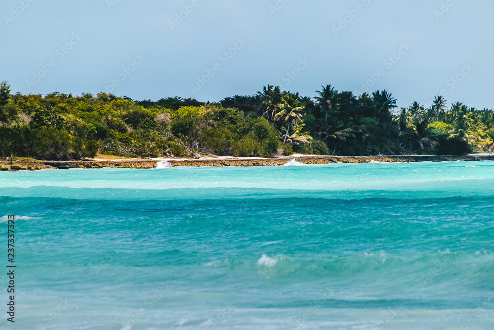 Saona Island near Punta Cana, Dominican Republic