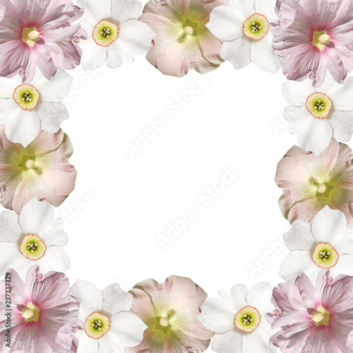 Fototapeta Naklejka Na Ścianę i Meble -  Beautiful floral background of mallows and the daffodils 