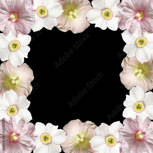 Fototapeta Naklejka Na Ścianę i Meble -  Beautiful floral background of mallows and the daffodils 