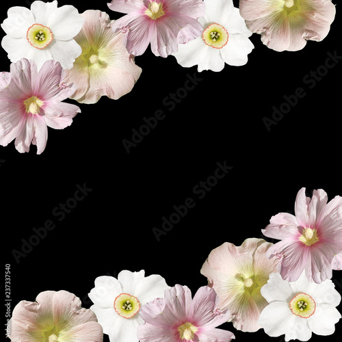 Fototapeta Naklejka Na Ścianę i Meble -  Beautiful floral background of mallows and the daffodils 