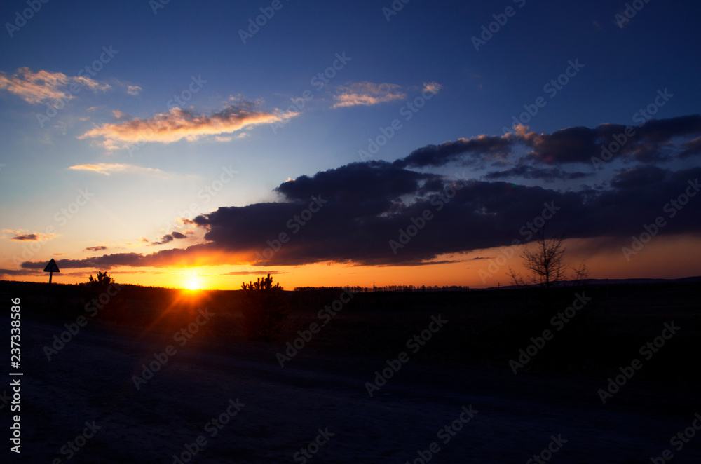 Siberian sunset and tree silhouettes