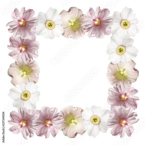 Fototapeta Naklejka Na Ścianę i Meble -  Square of mallow and daffodils 