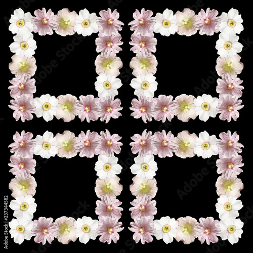 Fototapeta Naklejka Na Ścianę i Meble -  Square of mallow and daffodils 