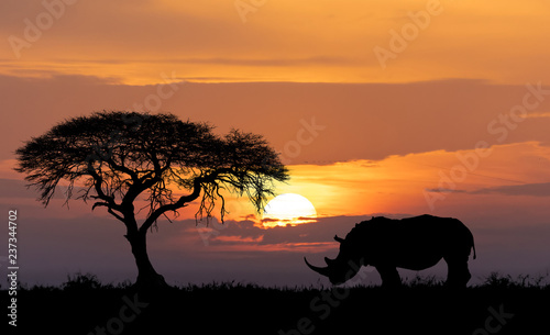 Africa wildlife and wilderness concept
