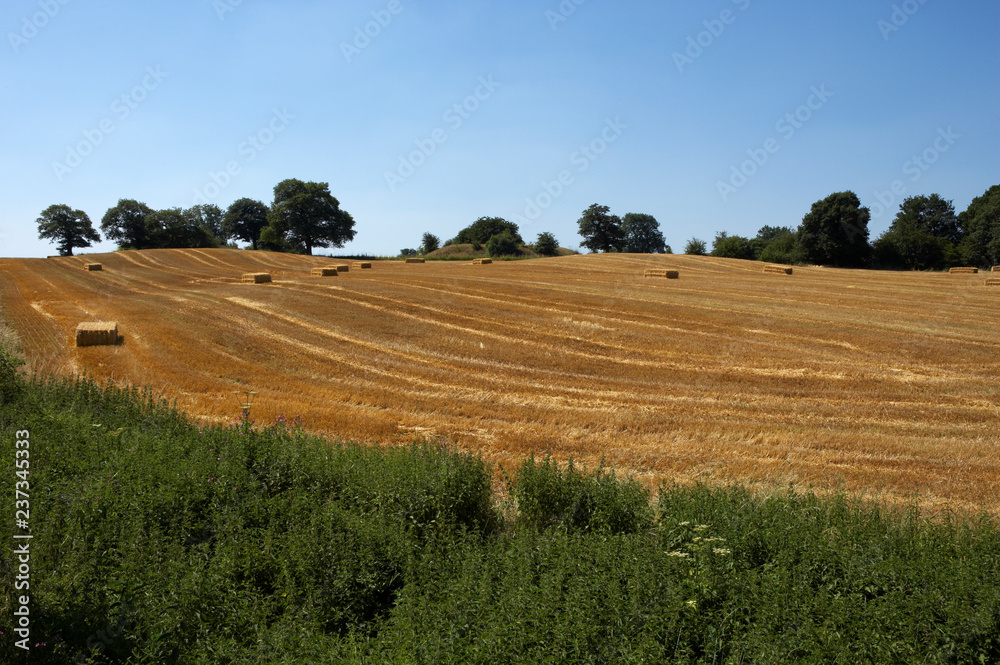 FIELD OF BARLEY STUBBLE WITH BAILS OF STRAW