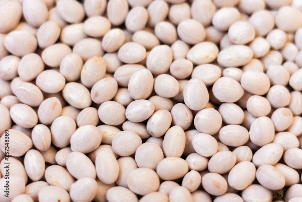 White beans background (Phaseolus) – food for veggies White beans background (Phaseolus) – food for veggies