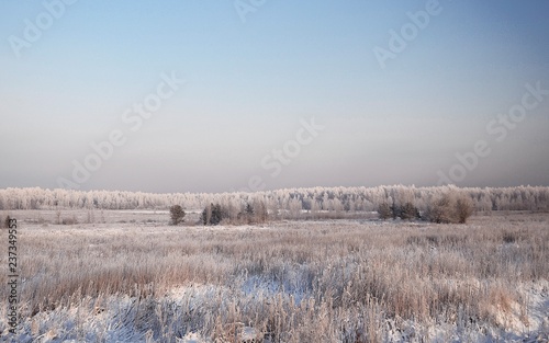 Wallpaper Mural landscape in winter  Torontodigital.ca