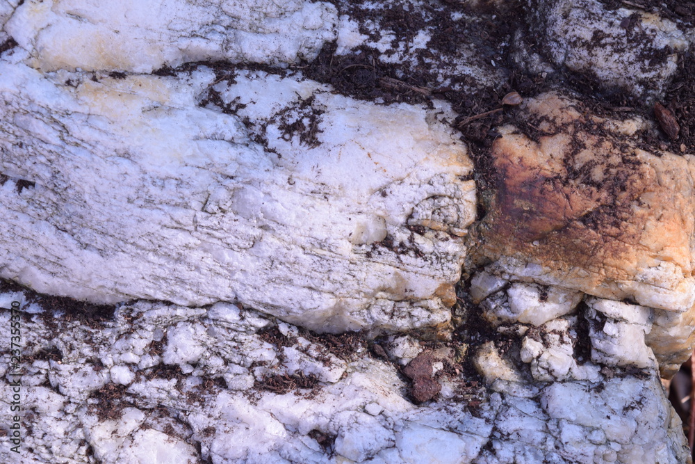 Fototapeta premium Stone and Snow