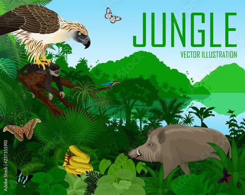 Vector Philippines jungle forest with white-throated kingfisher, giant atlas moth, bearded pig and philippine eagle with monkey