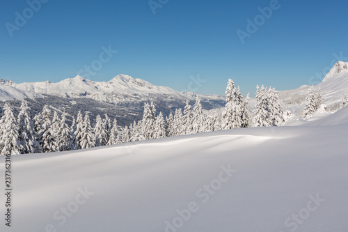 Verschneite Winterlandschaft mit Weitsicht auf die Alpen - Parpaner Rothorn, Graubünden, Schweiz