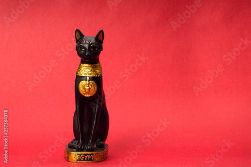 black egyptian cat