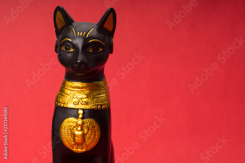 black egyptian cat