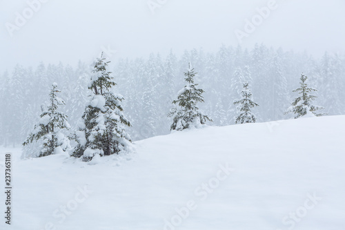 Verschneite Winterlandschaft im Nebel - Lenzerheide, Graubünden, Schweiz © Stephanie Jud