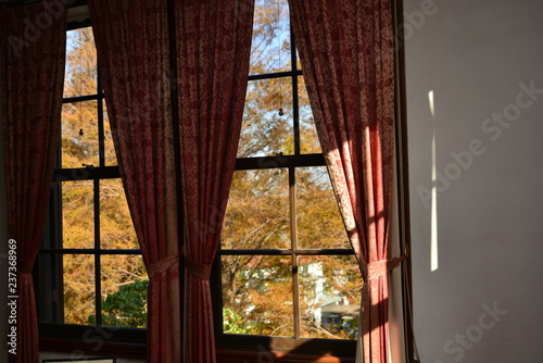 autumn window