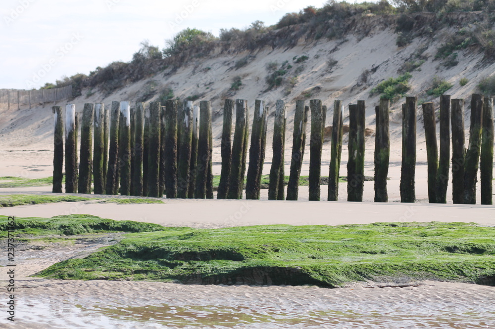 Fototapeta premium brise vagues