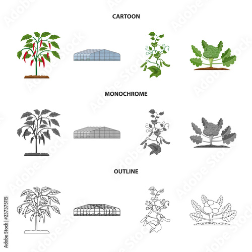 Vector design of greenhouse and plant icon. Collection of greenhouse and garden vector icon for stock.