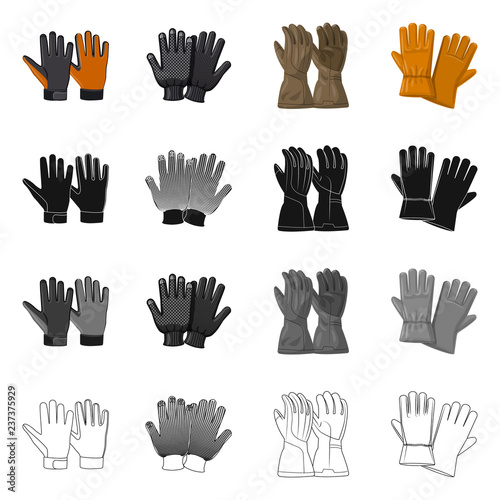 Vector design of glove and winter logo. Collection of glove and equipment vector icon for stock. photo