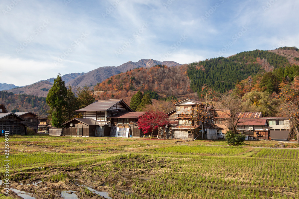 A rural area in Japan with beautiful scenery of a paddy field, traditional houses and mountains strewn with red autumn leaves