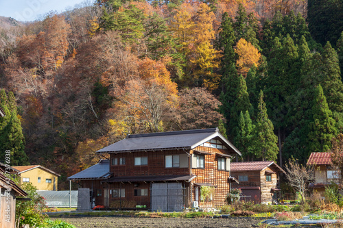 A rural area in Japan with beautiful scenery of a paddy field, traditional houses and mountains strewn with red autumn leaves