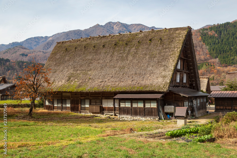 A traditional Japanese Wada farmhouse with its characteristic thick thatched roof by a paddy field Shirakawa go in autumn