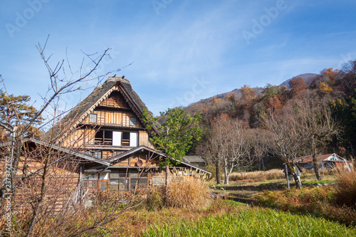 A traditional Japanese Wada farmhouse with its characteristic thick thatched roof by a hill in Shirakawa go full of trees with colorful autumn leaves 