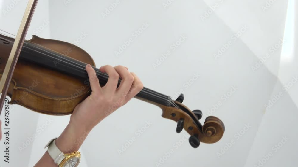 Girl fingering the strings playing the violin. Close up. White background Girl fingering the strings playing the violin. Close up. White background