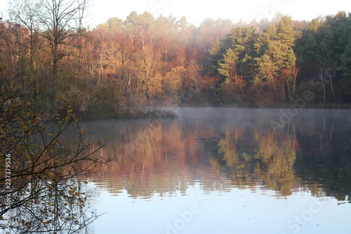 Tranquil Autumn Lake Early Morning in the Woods