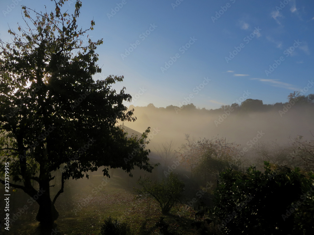 Fotografie un matin à la campagne