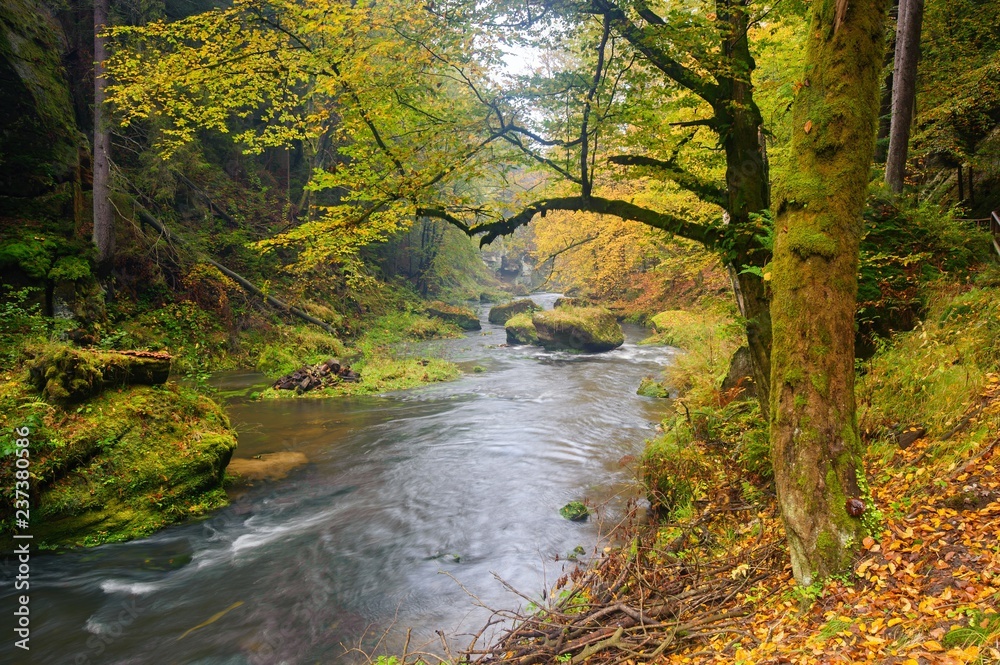 A beautifully river flowing autumn forest A beautifully river flowing autumn forest