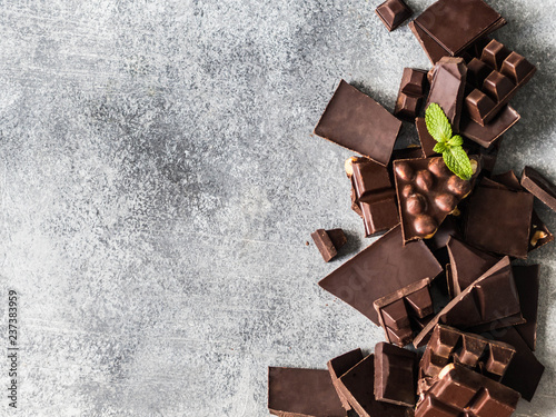 Various chocolate slices on a grey background sprinkled with mint leafs