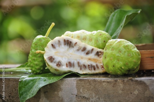 Noni Fruit   (Morinda citrifolia)  photo