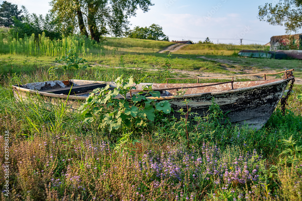Naklejka premium The abandoned boat on the Danube coast 